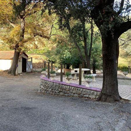 Aparthotel Domaine Des Anges Amélie-les-Bains-Palalda Zewnętrze zdjęcie